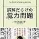 「誤解だらけの電力問題」竹内 純子