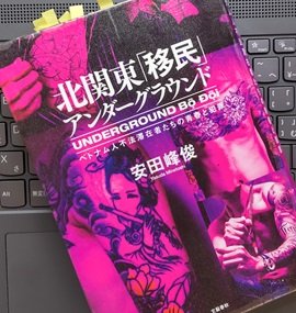 「北関東「移民」アンダーグラウンド ベトナム人不法滞在者たちの青春と犯罪」安田 峰俊