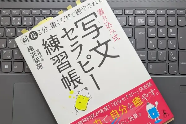 「朝夜３分、書くだけで癒やされる　書き込み式　写文セラピー練習帳」樺沢 紫苑